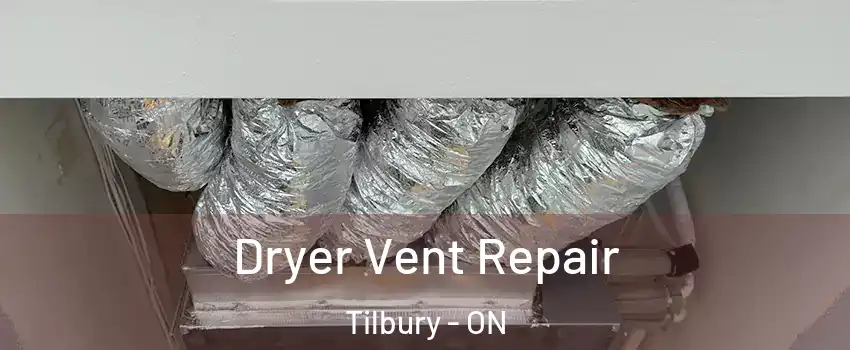  Dryer Vent Repair Tilbury - ON
