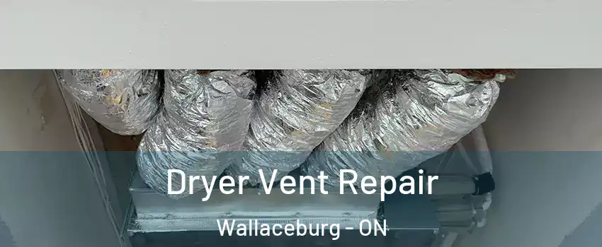  Dryer Vent Repair Wallaceburg - ON