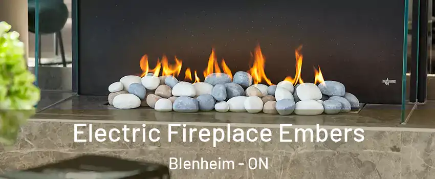  Electric Fireplace Embers Blenheim - ON