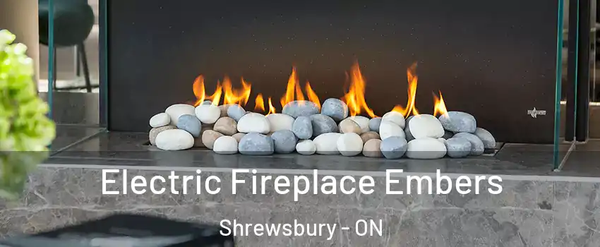  Electric Fireplace Embers Shrewsbury - ON