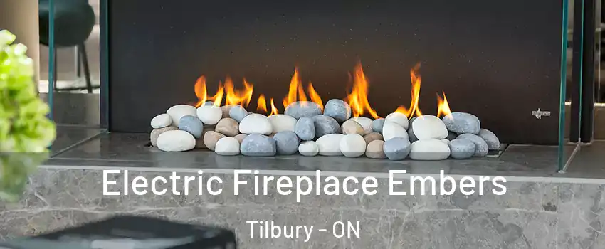  Electric Fireplace Embers Tilbury - ON