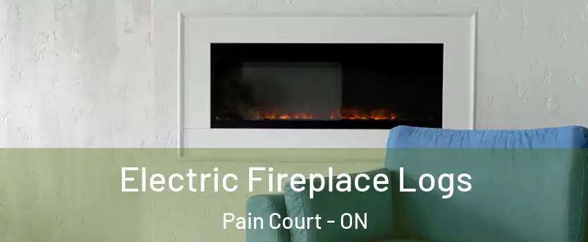  Electric Fireplace Logs Pain Court - ON