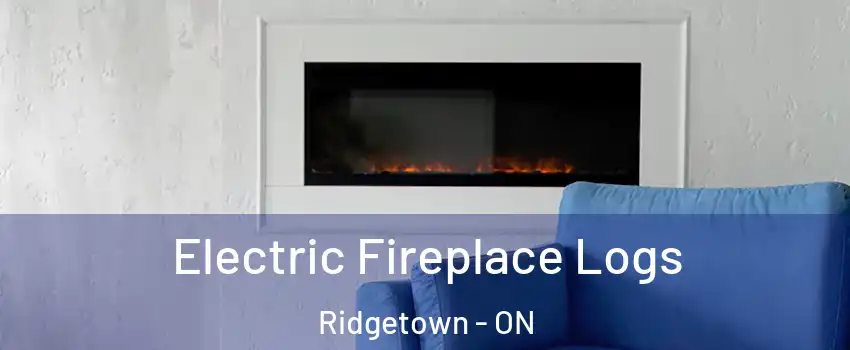  Electric Fireplace Logs Ridgetown - ON