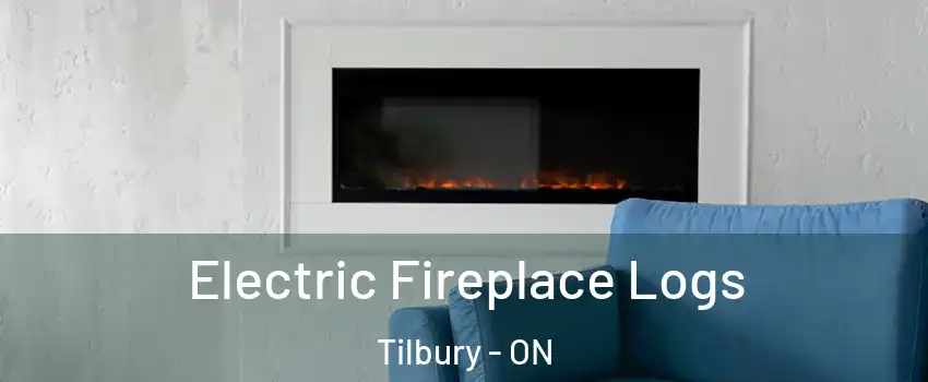  Electric Fireplace Logs Tilbury - ON