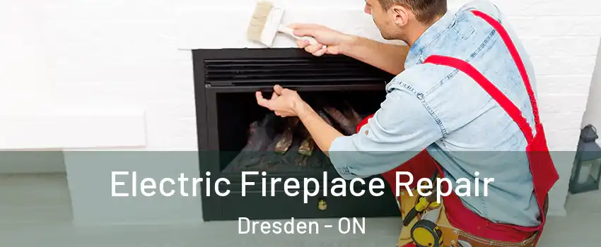  Electric Fireplace Repair Dresden - ON