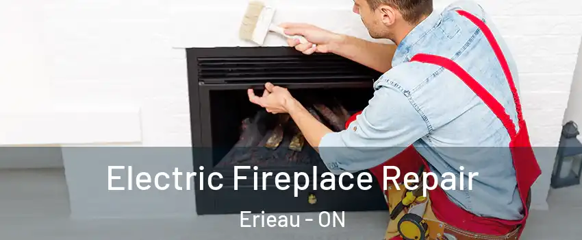  Electric Fireplace Repair Erieau - ON