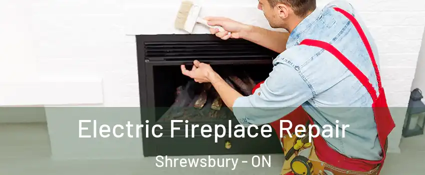  Electric Fireplace Repair Shrewsbury - ON