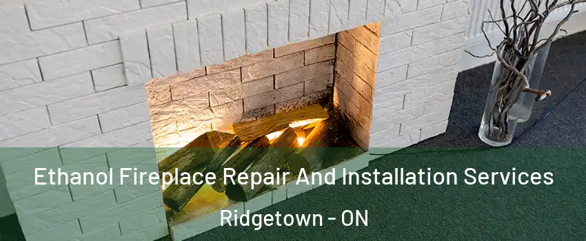  Ethanol Fireplace Repair And Installation Services Ridgetown - ON