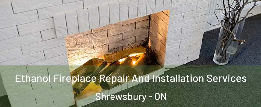  Ethanol Fireplace Repair And Installation Services Shrewsbury - ON