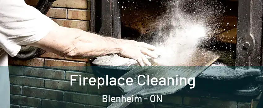  Fireplace Cleaning Blenheim - ON