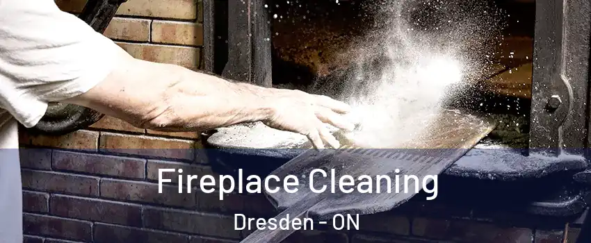  Fireplace Cleaning Dresden - ON