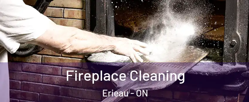  Fireplace Cleaning Erieau - ON