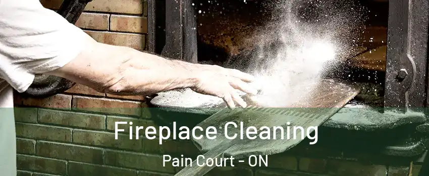  Fireplace Cleaning Pain Court - ON