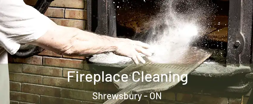  Fireplace Cleaning Shrewsbury - ON