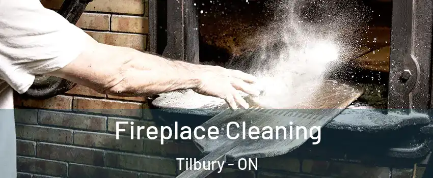  Fireplace Cleaning Tilbury - ON