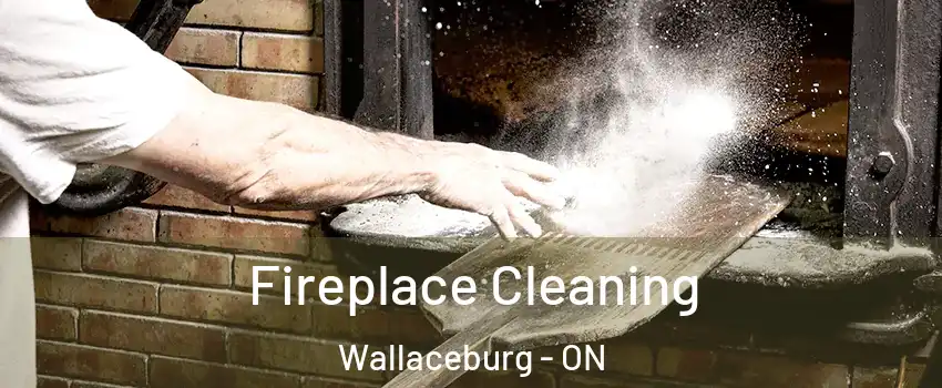  Fireplace Cleaning Wallaceburg - ON