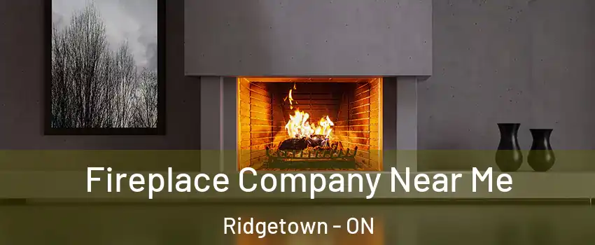  Fireplace Company Near Me Ridgetown - ON