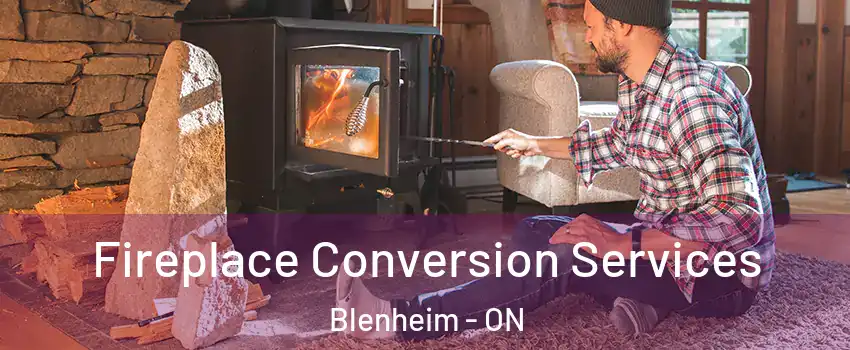  Fireplace Conversion Services Blenheim - ON
