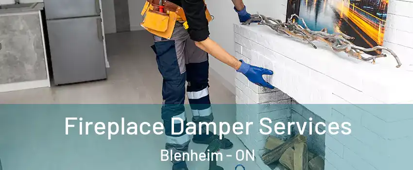  Fireplace Damper Services Blenheim - ON