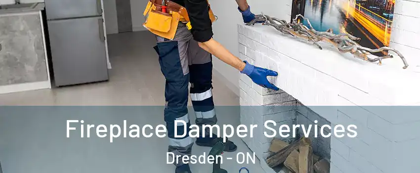  Fireplace Damper Services Dresden - ON