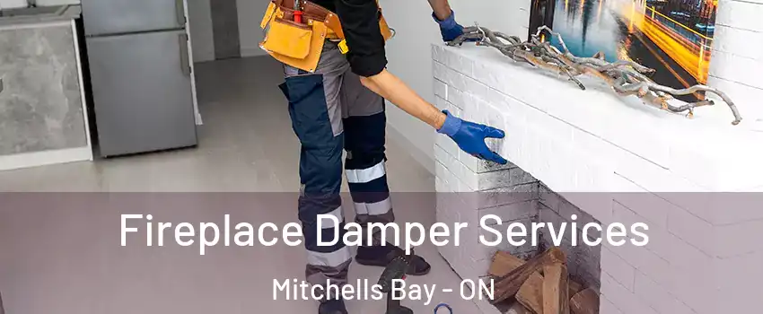 Fireplace Damper Services Mitchells Bay - ON