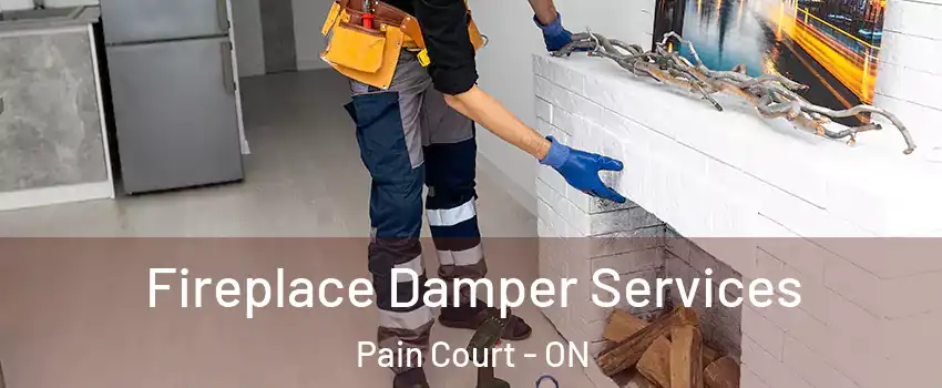  Fireplace Damper Services Pain Court - ON