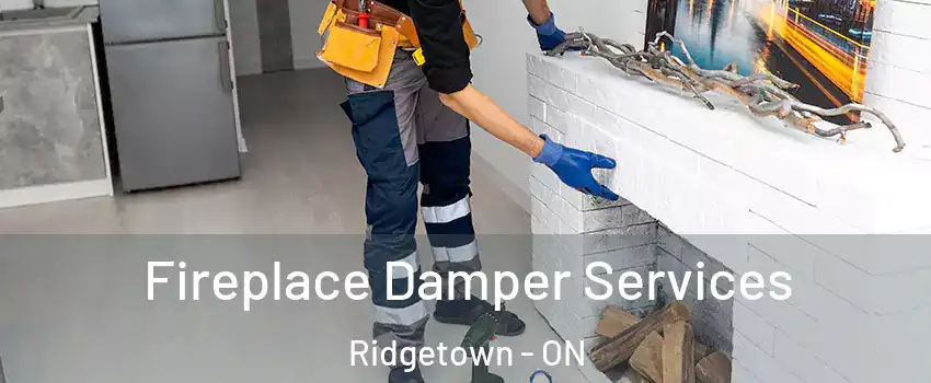  Fireplace Damper Services Ridgetown - ON