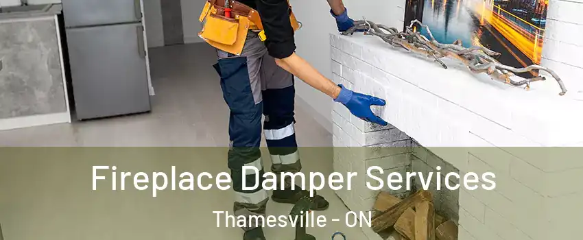  Fireplace Damper Services Thamesville - ON