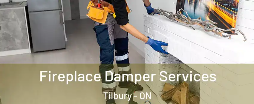  Fireplace Damper Services Tilbury - ON