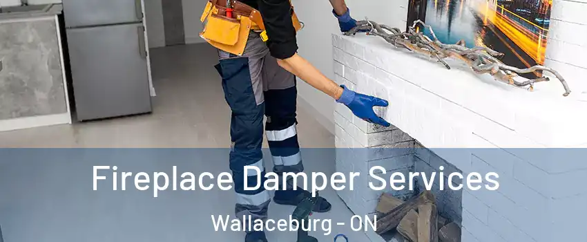  Fireplace Damper Services Wallaceburg - ON