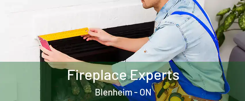  Fireplace Experts Blenheim - ON