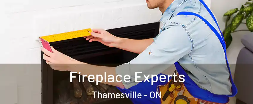  Fireplace Experts Thamesville - ON