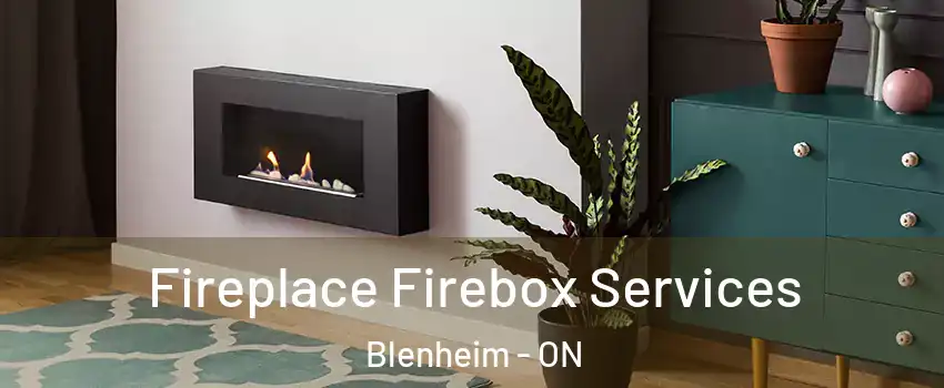  Fireplace Firebox Services Blenheim - ON