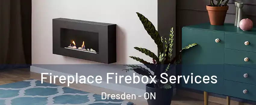  Fireplace Firebox Services Dresden - ON