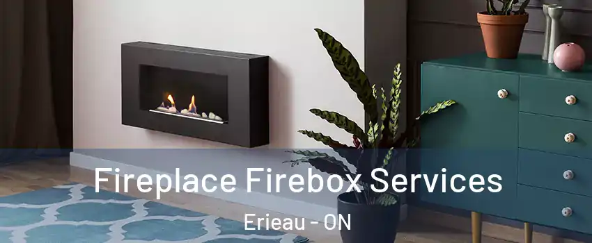  Fireplace Firebox Services Erieau - ON