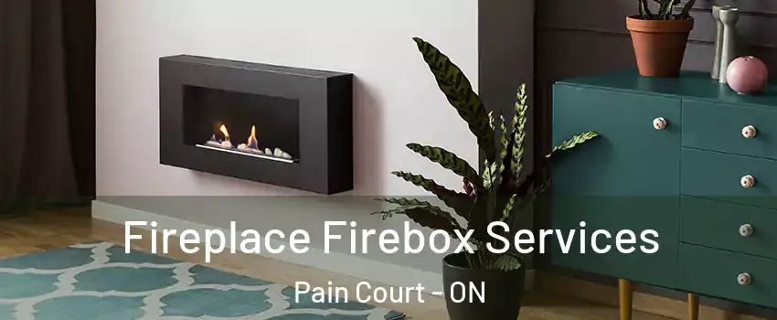  Fireplace Firebox Services Pain Court - ON
