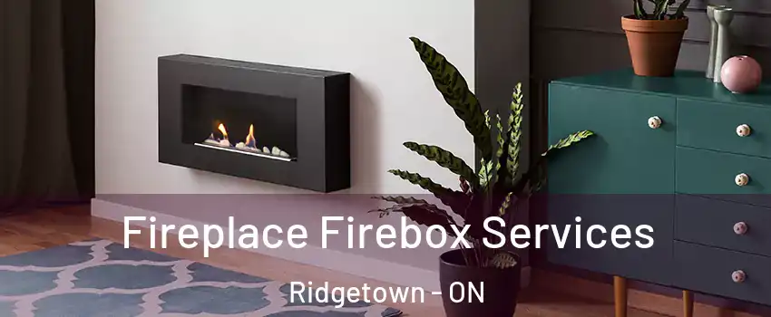 Fireplace Firebox Services Ridgetown - ON