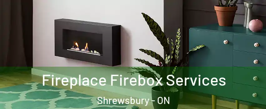  Fireplace Firebox Services Shrewsbury - ON