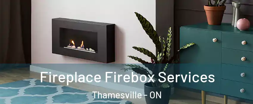  Fireplace Firebox Services Thamesville - ON