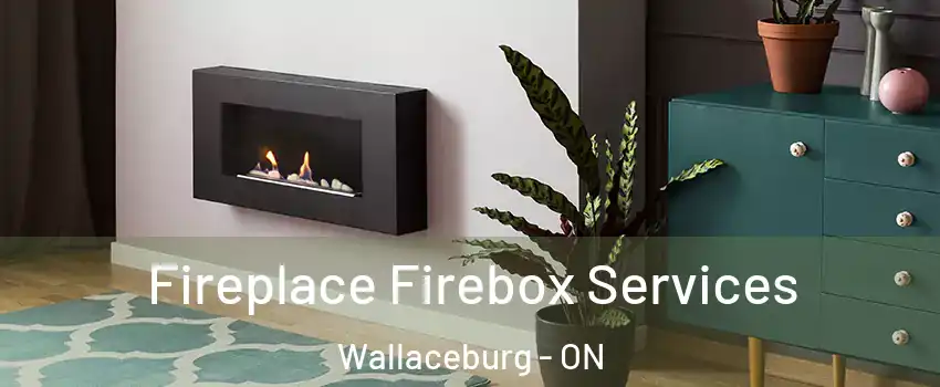 Fireplace Firebox Services Wallaceburg - ON