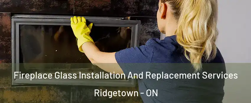  Fireplace Glass Installation And Replacement Services Ridgetown - ON