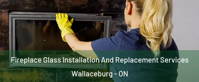  Fireplace Glass Installation And Replacement Services Wallaceburg - ON