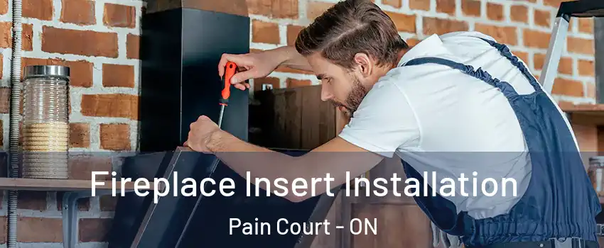  Fireplace Insert Installation Pain Court - ON