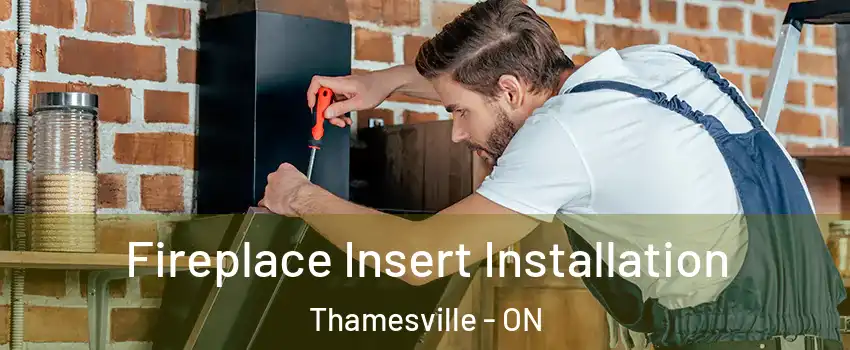  Fireplace Insert Installation Thamesville - ON