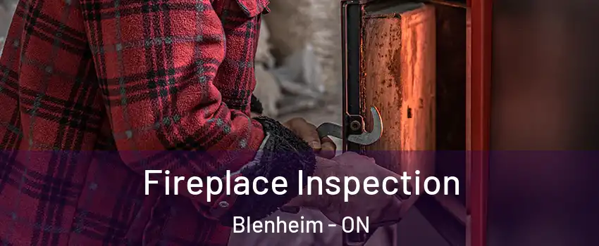  Fireplace Inspection Blenheim - ON