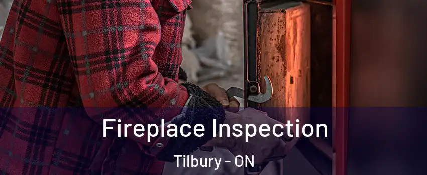  Fireplace Inspection Tilbury - ON