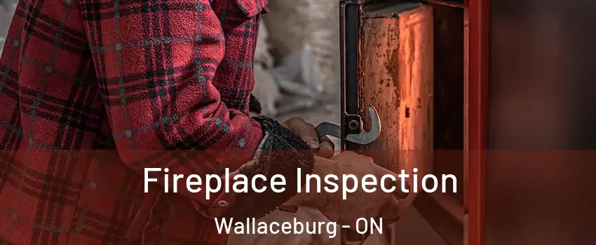  Fireplace Inspection Wallaceburg - ON
