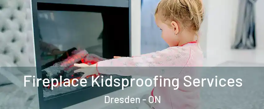  Fireplace Kidsproofing Services Dresden - ON
