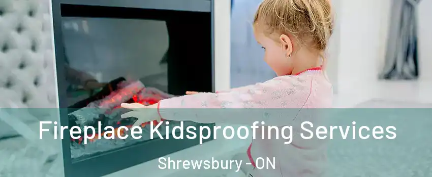  Fireplace Kidsproofing Services Shrewsbury - ON