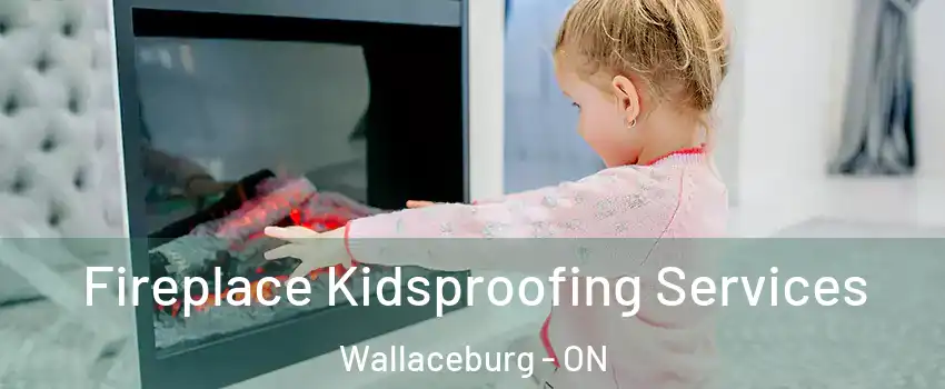  Fireplace Kidsproofing Services Wallaceburg - ON